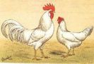 88656517_FYXUIOA