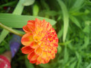 DSCN4574