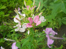 DSCN4582