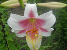 DSCN4590