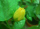 DSCN4597