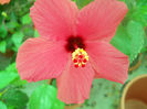 DSCN4598