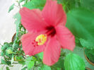 DSCN4599