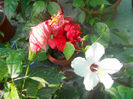 DSCN4607