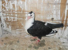 DSCN1764