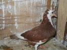 DSCN1774