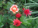 DSCF2066