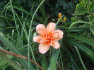 DSCF2063