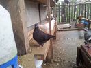 20130701_103947