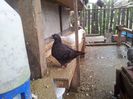 20130701_103950