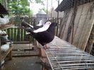 20130701_104018