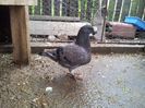 20130701_104152