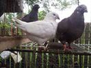 20130701_104237