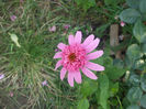 DSCF2062