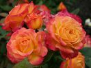Gartenspass-