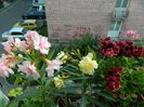 DSCN3576 - Copie