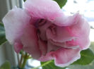 DSC01668