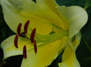 DSCN5434