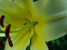DSCN5435