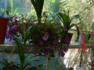 DSCN5457