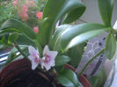 DSCN3047[1]