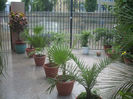 DSCN3064[1]