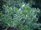 DSCN3071[1]