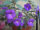 DSCN3072[1]