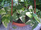 DSCN3073[1]