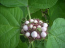 DSCN3074[1]