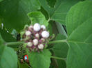 DSCN3075[1]