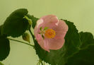P1450960
