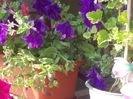 DSCN9354_4809