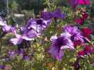 DSCN9357_4812
