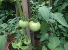 DSCF2074