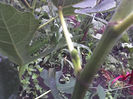 09-07-13_1052