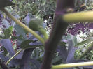 09-07-13_1053