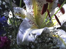 09-07-13_1211