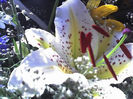 09-07-13_1212