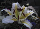 09-07-13_1215