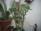 DSCN3089[1]