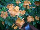 DSCN3062[1]