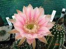 DSC01524