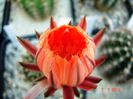 DSC01528