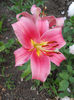 DSCN7719