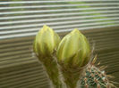 P6040138