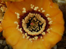 P6060096
