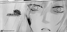 tomoe 40