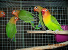 DSCN0125