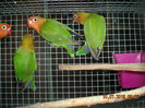 DSCN0126
